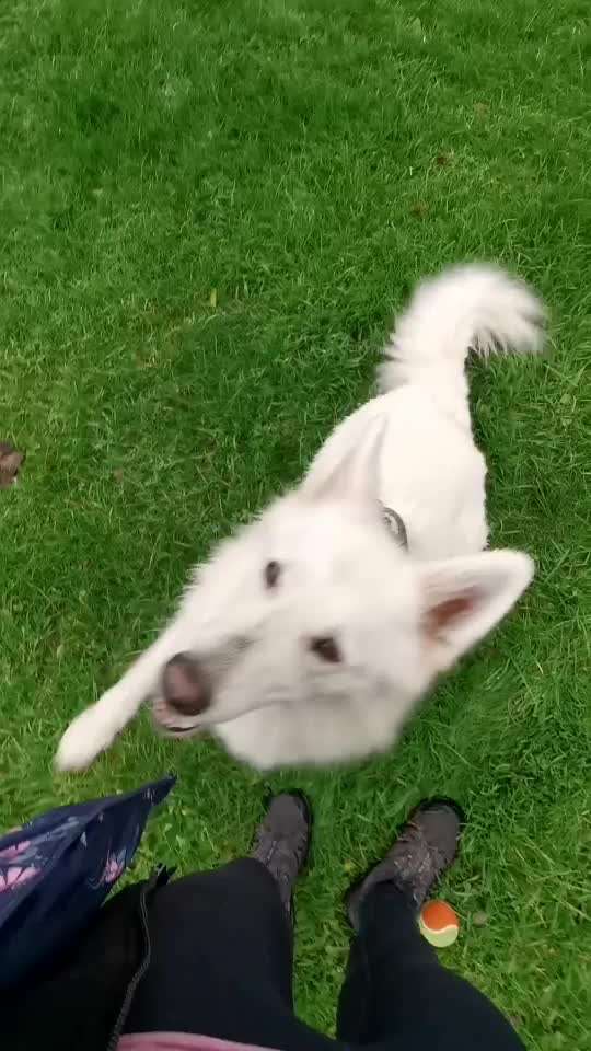 𝕋ℝ𝕀ℂ𝕂 ℂℍ𝔸𝕃𝕃𝔼ℕ𝔾𝔼 ℕℝ. 𝟙-Beitrag-Bild