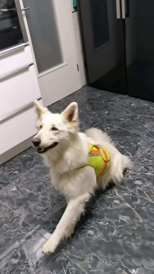 𝕋ℝ𝕀ℂ𝕂 ℂℍ𝔸𝕃𝕃𝔼ℕ𝔾𝔼 ℕℝ. 𝟚-Beitrag-Bild