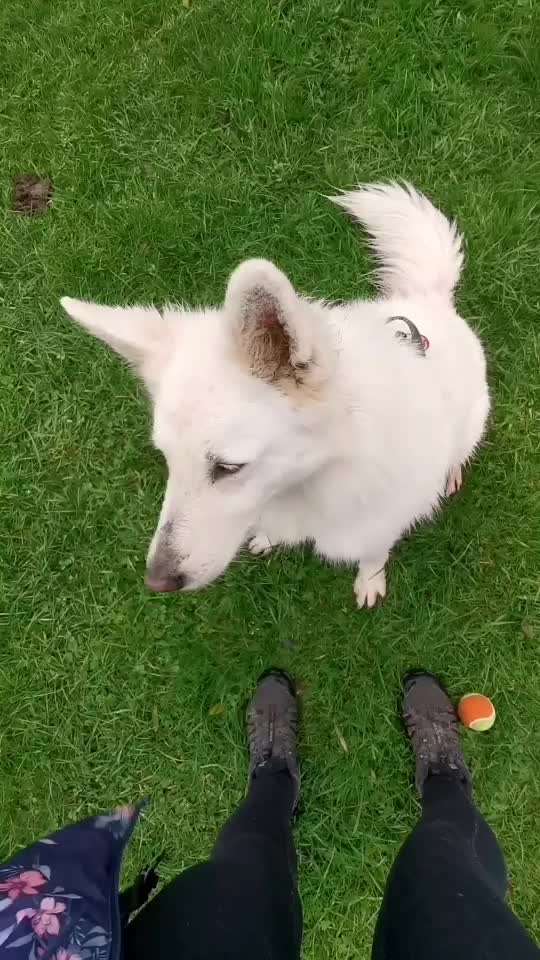 𝕋ℝ𝕀ℂ𝕂 ℂℍ𝔸𝕃𝕃𝔼ℕ𝔾𝔼 ℕℝ. 𝟙-Beitrag-Bild