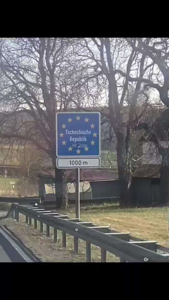 aktuelles Foto Gruppe Labrador