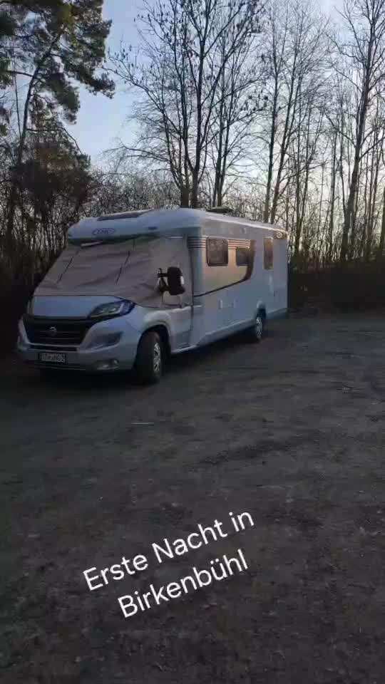 aktuelles Foto Gruppe Labrador