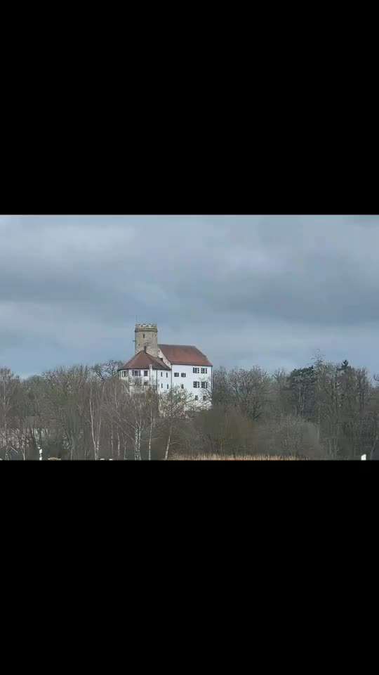 aktuelles Foto Gruppe Labrador