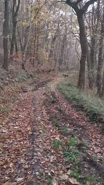 Lieblings Schnappschuss?-Beitrag-Bild