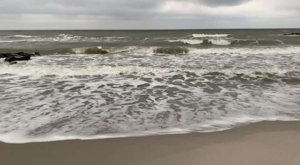 Erfahrungen mit Hund an der Ostsee-Beitrag-Bild