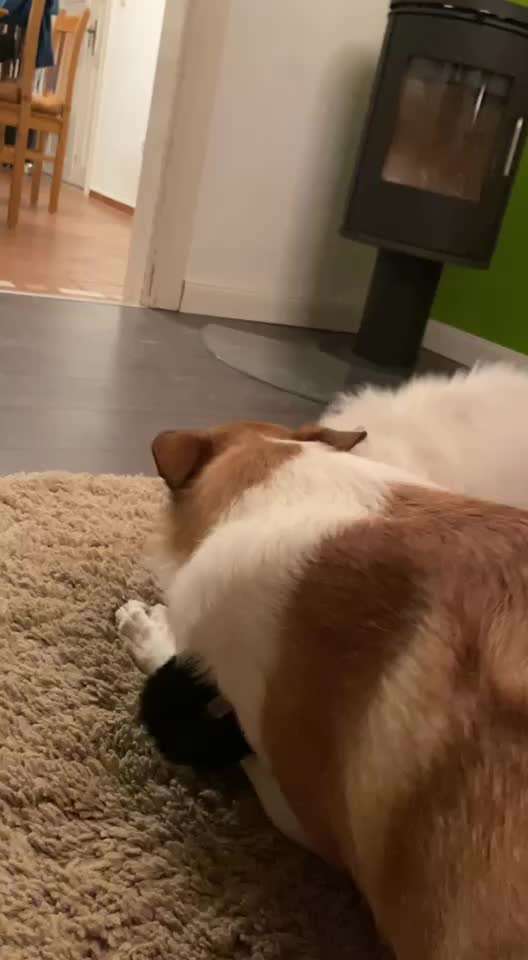 Handyvideochallenge Nr. 26 Gross und Klein-Beitrag-Bild