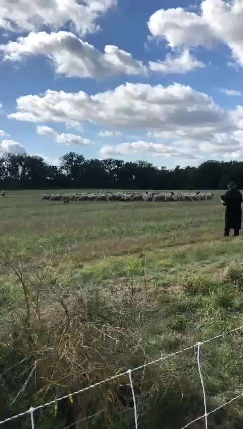 Autos anfallen-Beitrag-Bild