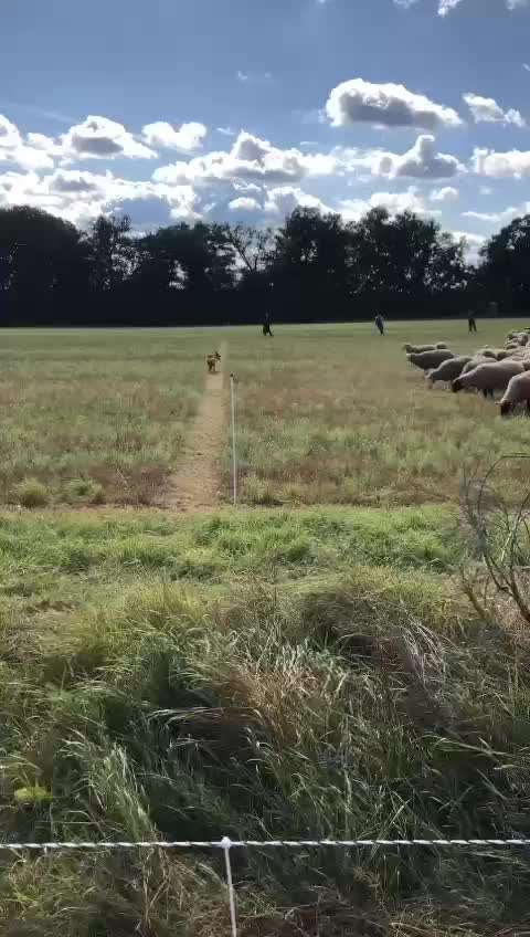Autos anfallen-Beitrag-Bild