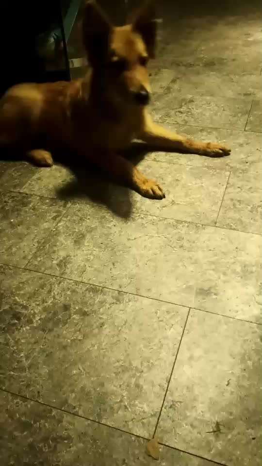 FOTO CHALLENGE Thema ,,durchdrehen"-Beitrag-Bild