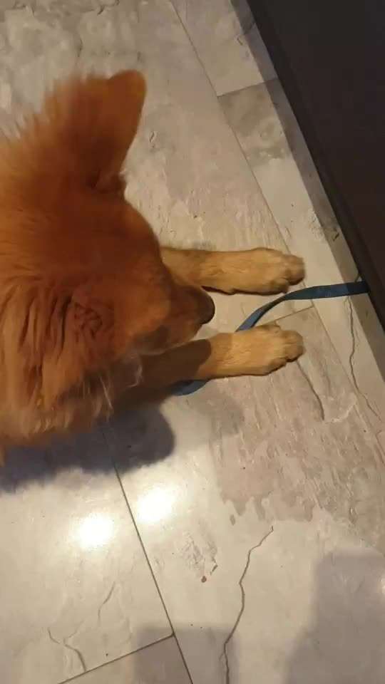 Bindungsspiele (Ideensammlung)-Beitrag-Bild