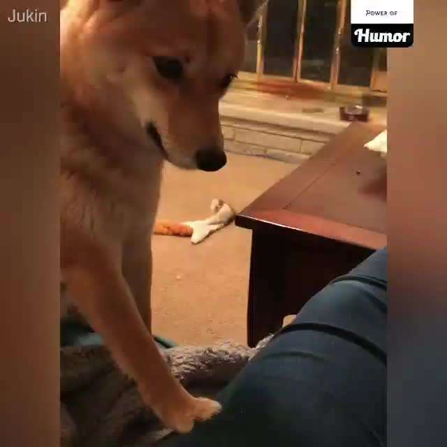 Hier ist der Spaßthread. Zum Schmunzeln und Kaputtlachen-Beitrag-Bild