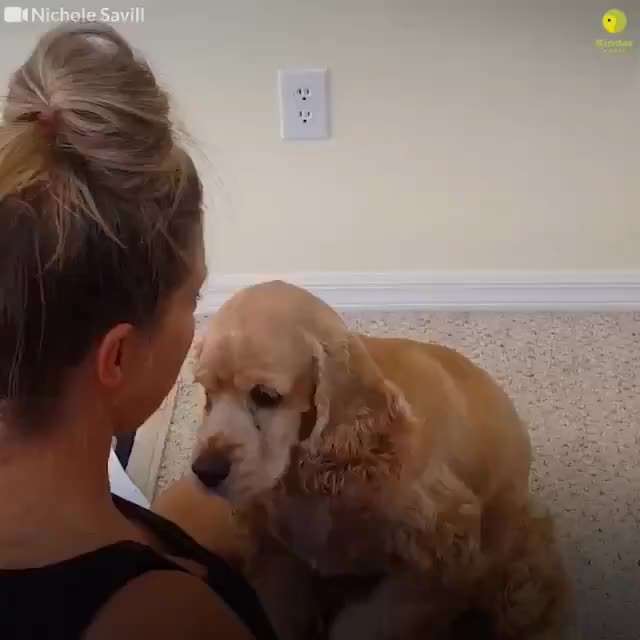 Hier ist der Spaßthread. Zum Schmunzeln und Kaputtlachen-Beitrag-Bild