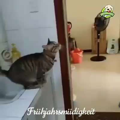 Hier ist der Spaßthread. Zum Schmunzeln und Kaputtlachen-Beitrag-Bild