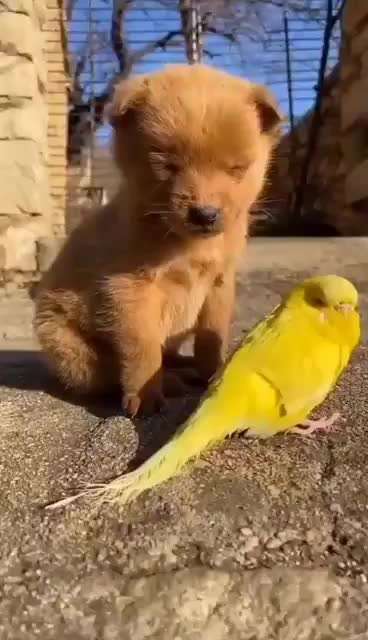 Hier ist der Spaßthread. Zum Schmunzeln und Kaputtlachen-Beitrag-Bild