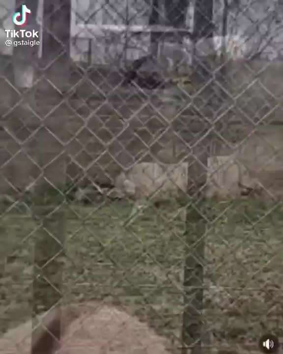 Hier ist der Spaßthread. Zum Schmunzeln und Kaputtlachen-Beitrag-Bild