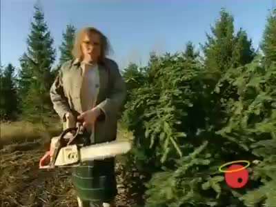 Hier ist der Spaßthread. Zum Schmunzeln und Kaputtlachen-Beitrag-Bild