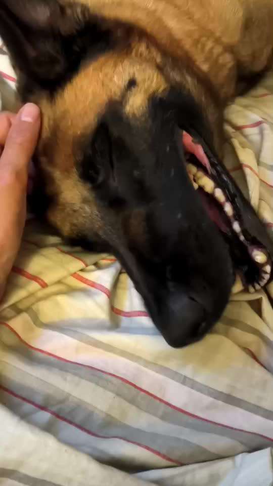 Ursache fürs Anspringen finden und beheben-Beitrag-Bild