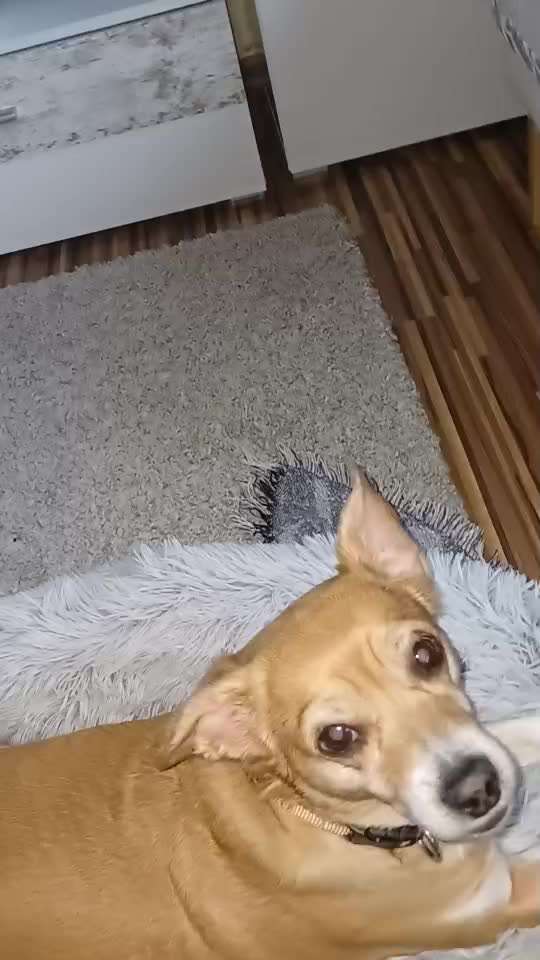 Immer noch keine Diagnose-Beitrag-Bild