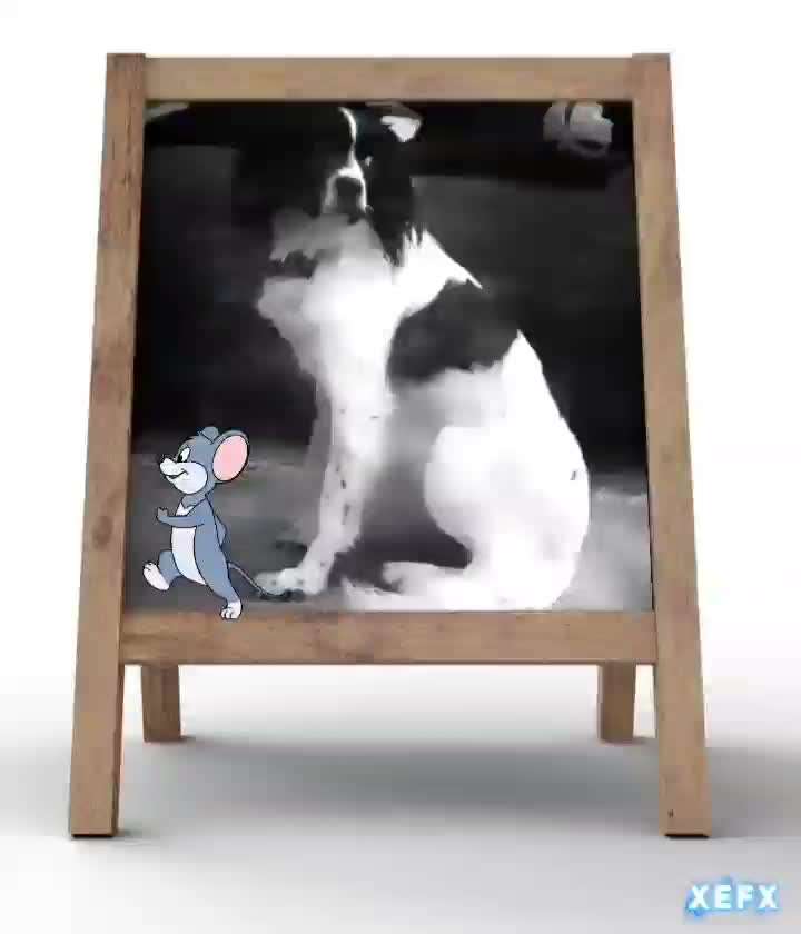 Photomontagen mit Hund-Beitrag-Bild