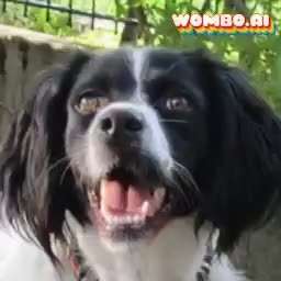 Hier ist der Spaßthread. Zum Schmunzeln und Kaputtlachen-Beitrag-Bild