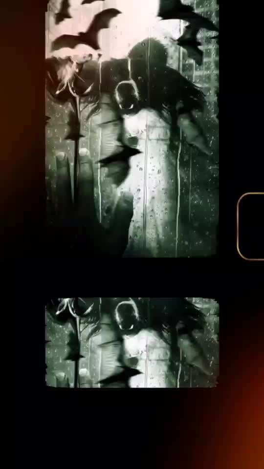 Photomontagen mit Hund-Beitrag-Bild