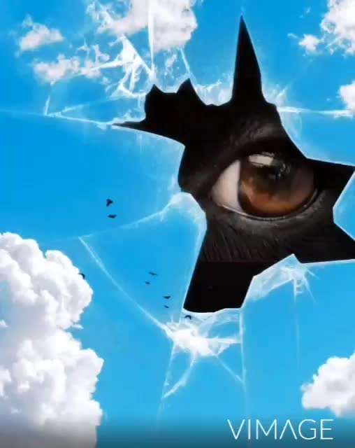 Photomontagen mit Hund-Beitrag-Bild