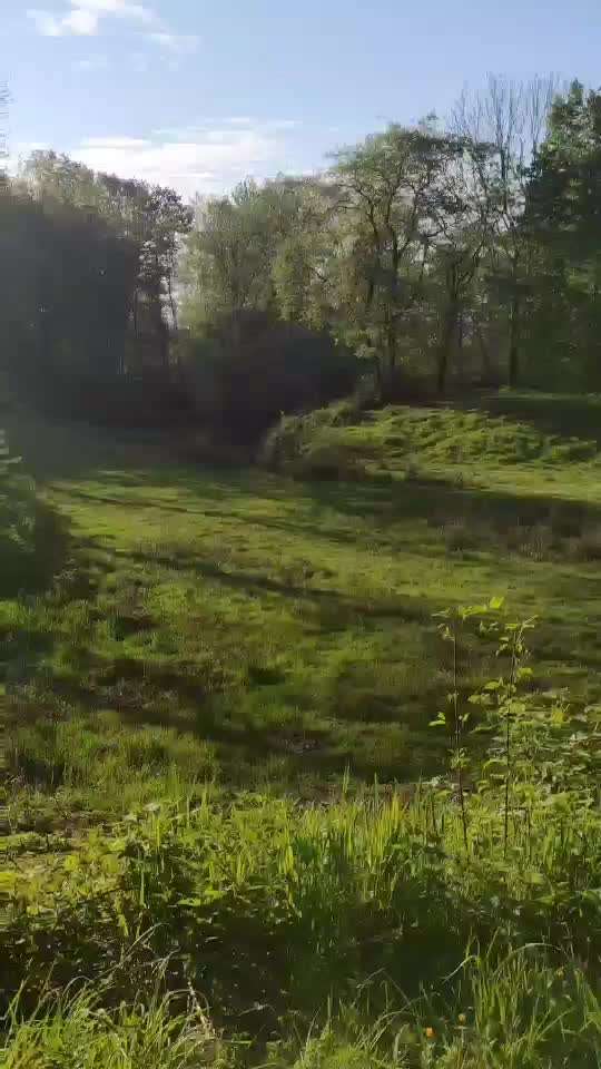 Die wunderschöne Welt mit Hund.-Beitrag-Bild