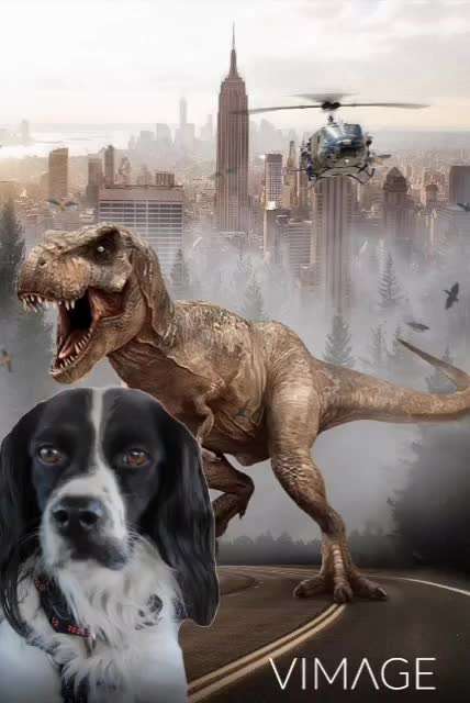 Photomontagen mit Hund-Beitrag-Bild