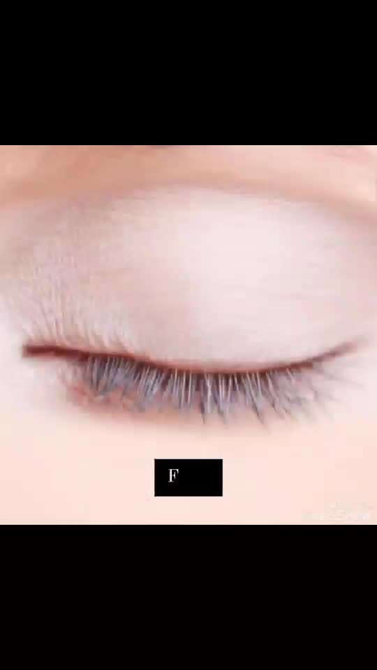 Photomontagen mit Hund-Beitrag-Bild