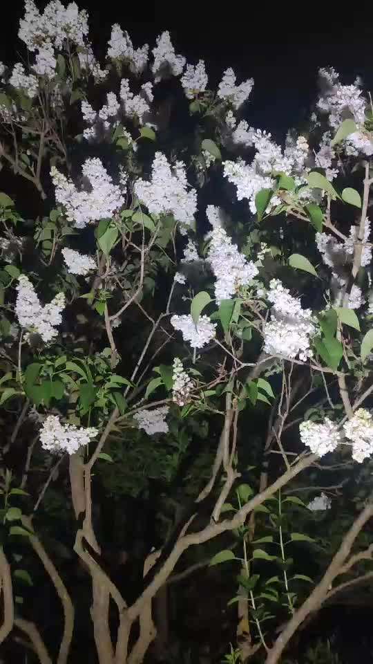 Die wunderschöne Welt mit Hund.-Beitrag-Bild