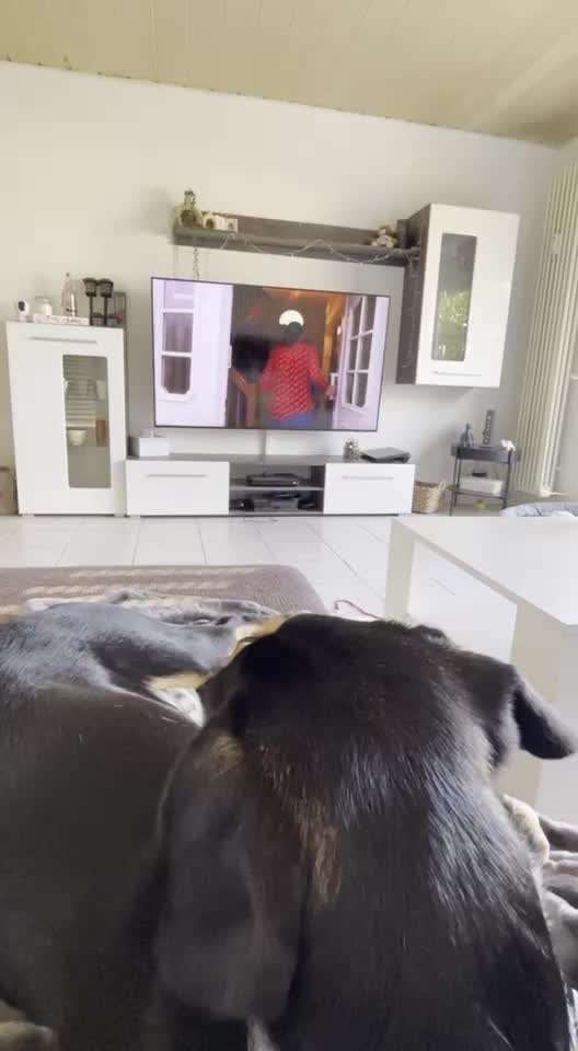 Verhalten beim Fernseher-Beitrag-Bild