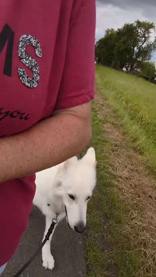 15. Impulskontrolle Challenge: Hinten-Beitrag-Bild