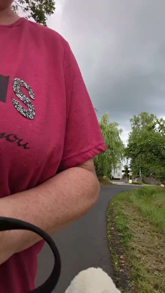 15. Impulskontrolle Challenge: Hinten-Beitrag-Bild