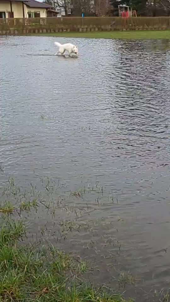 50. Video Challenge - Wasserscheu oder nicht-Beitrag-Bild