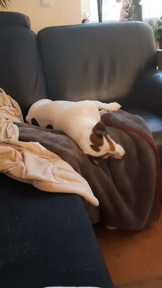 Foto Challenge Nr. 134-Beitrag-Bild