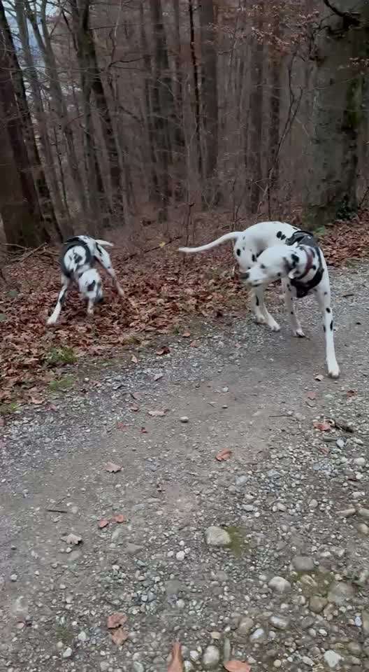 aktuelles Foto Gruppe Körpersprache lesen & verstehen