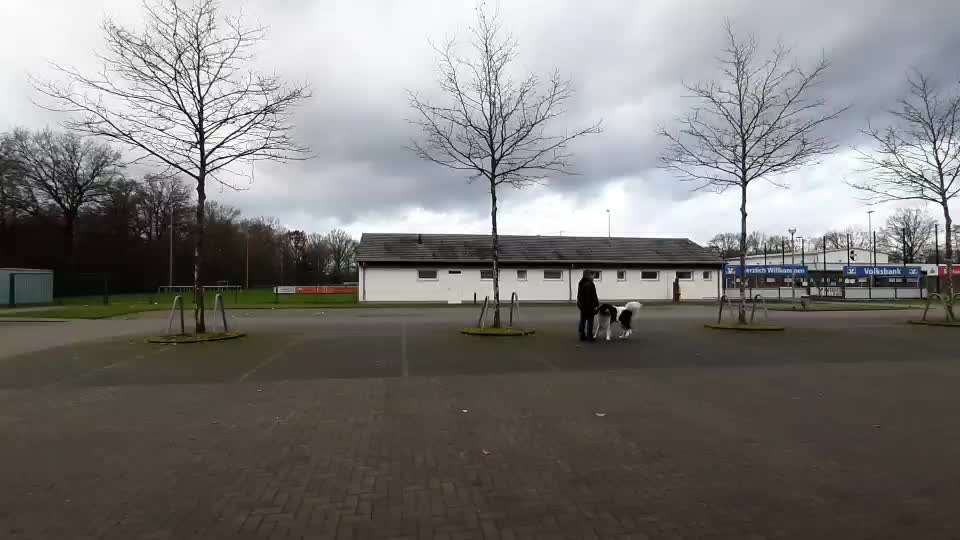 Trick Challenge Nr.5-Beitrag-Bild