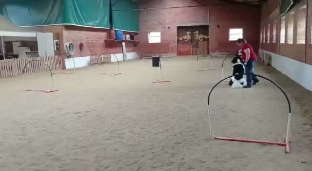 Weitere Trainingsmöglichkeiten-Beitrag-Bild