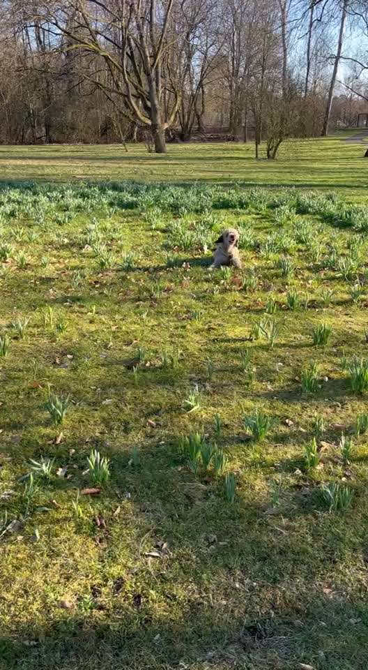 "Wege zur Freundschaft" (Ulli Reichmann)-Beitrag-Bild