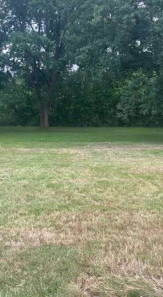 "Wege zur Freundschaft" (Ulli Reichmann)-Beitrag-Bild