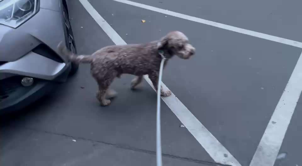 Gangbild/-analyse-Beitrag-Bild