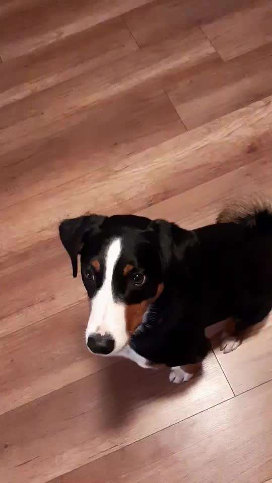 𝕋ℝ𝕀ℂ𝕂 ℂℍ𝔸𝕃𝕃𝔼ℕ𝔾𝔼 ℕℝ. 𝟙-Beitrag-Bild