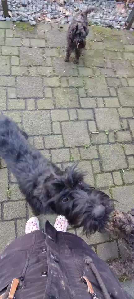 18. Video-Challenge "David gegen Goliath"-Beitrag-Bild