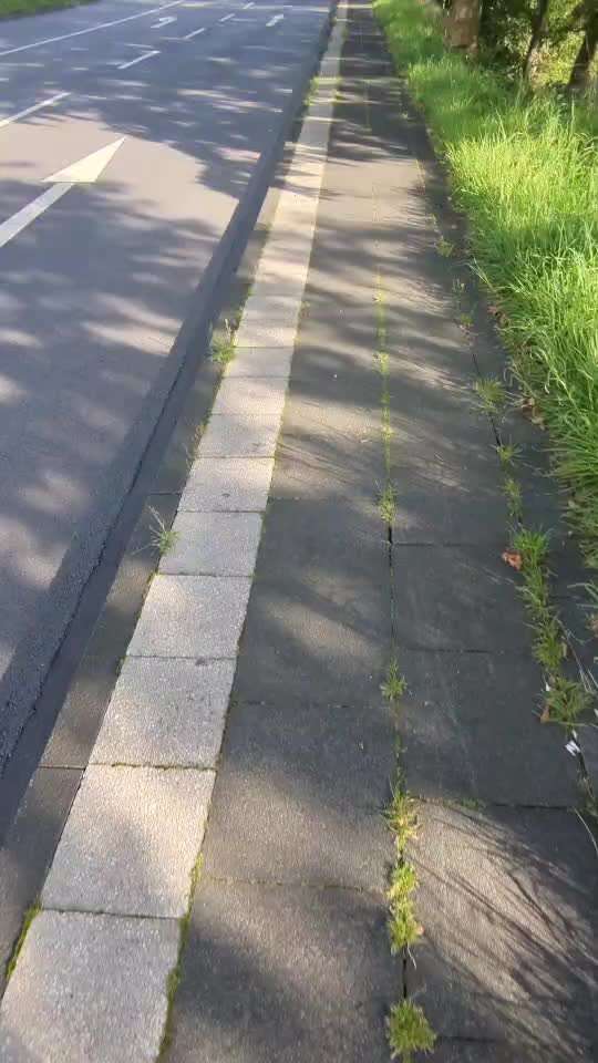 Orientierung oder doch bloß betteln!?-Beitrag-Bild