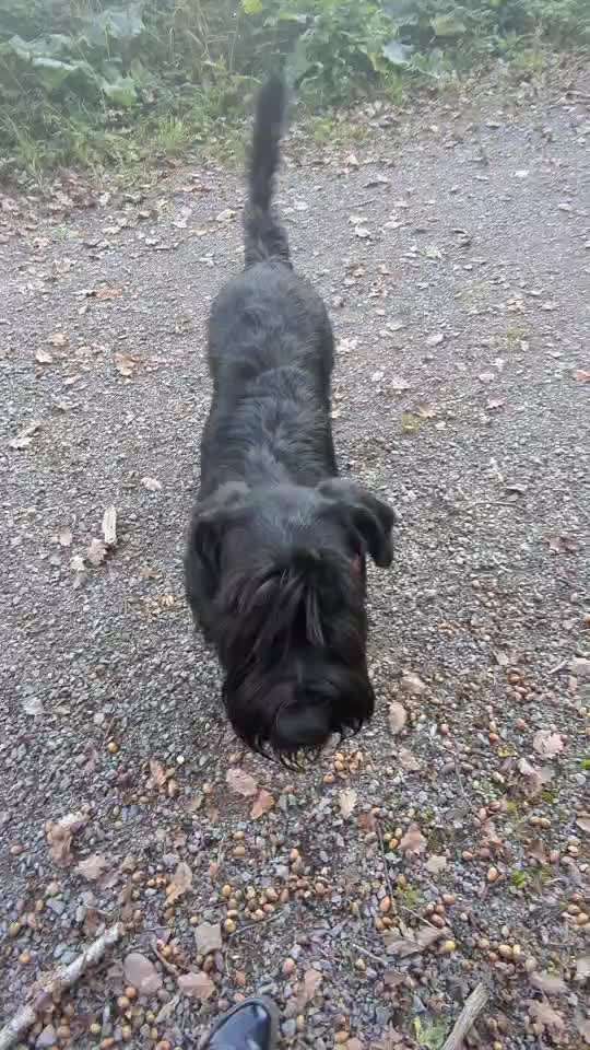 Warum muss es denn unbedingt der sein?-Beitrag-Bild