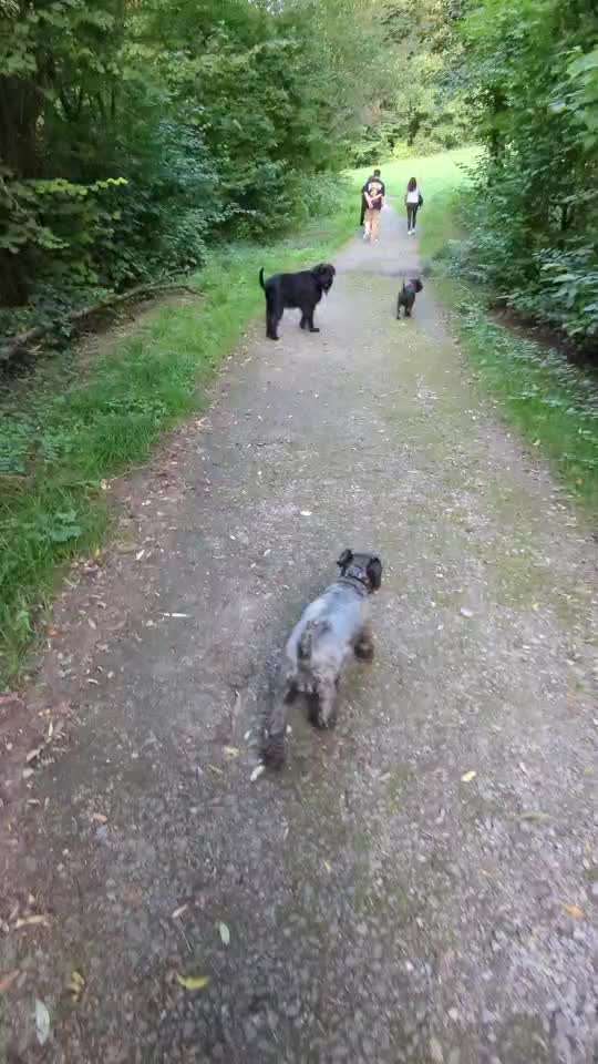 Der Ausreißer-Beitrag-Bild