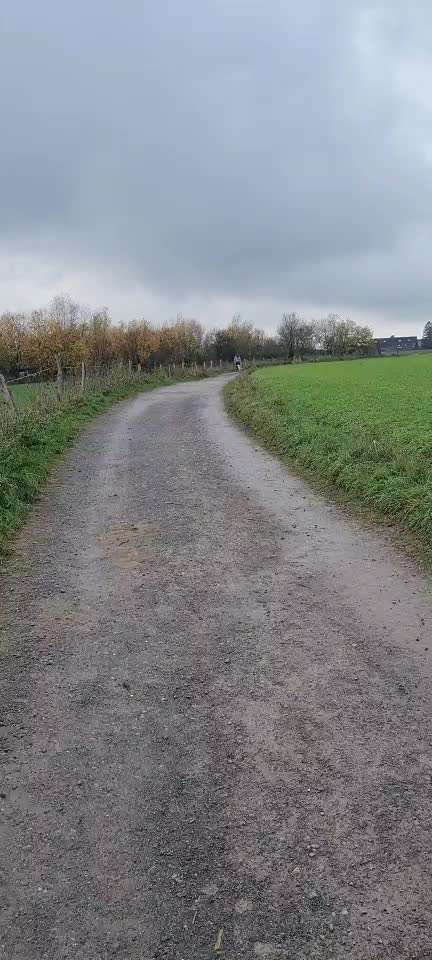 Wir müssen über tierschutzwidriges Hundezubehör reden!-Beitrag-Bild