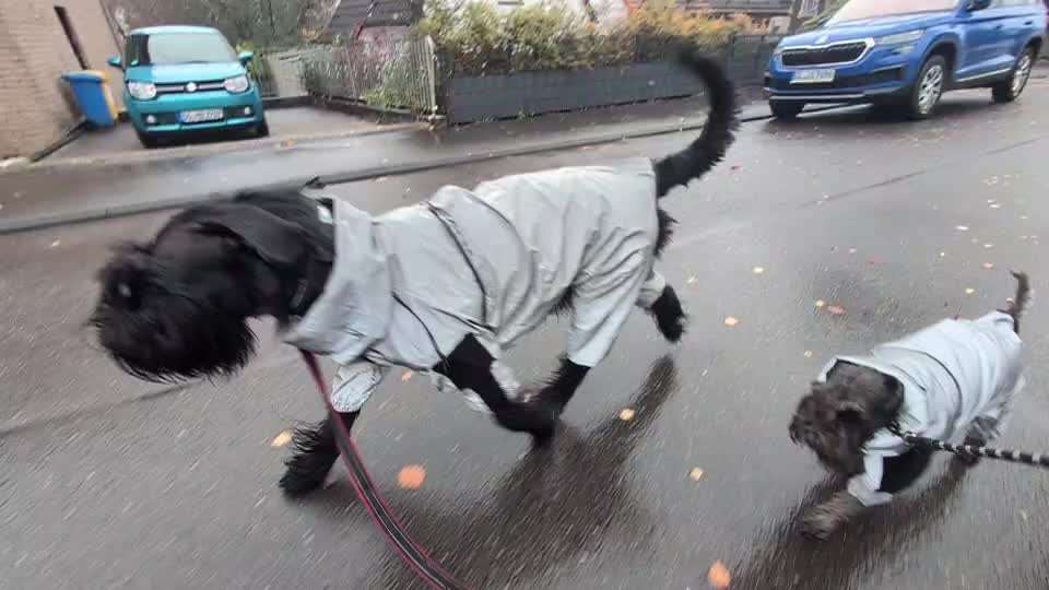 Was hat euch heute gefreut?-Beitrag-Bild