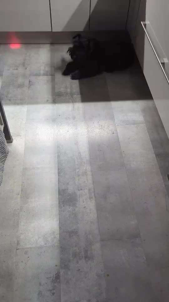 Was hat euch heute gefreut?-Beitrag-Bild