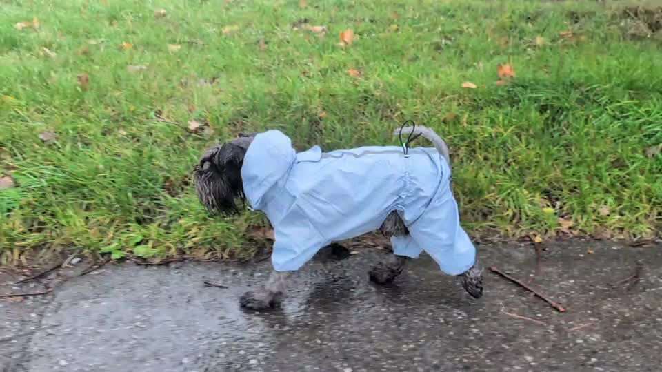 Was hat euch heute gefreut?-Beitrag-Bild