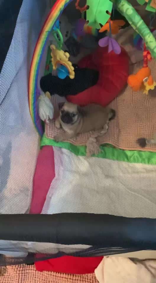 Sie werden so schnell erwachsen ...-Beitrag-Bild